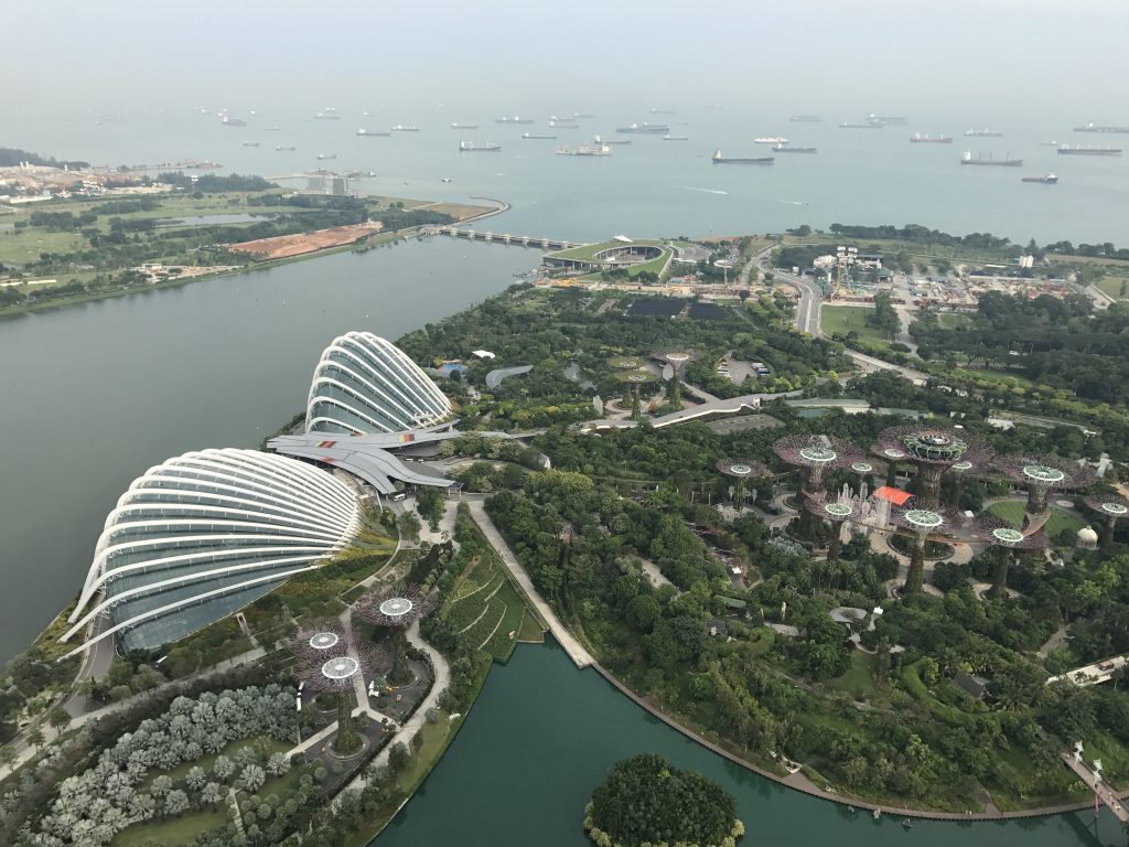マリーナベイサンズのスカイパークからの画像