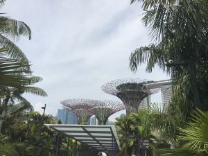 ガーデンズ・バイ・ザ・ベイの中の様子