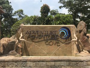 アドベンチャー・コーブ・ウォーターパークで子供は大喜び！