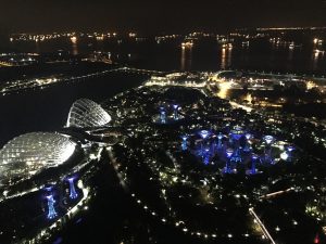 ライトアップされたガーデンズ・バイ・ザ・ベイ