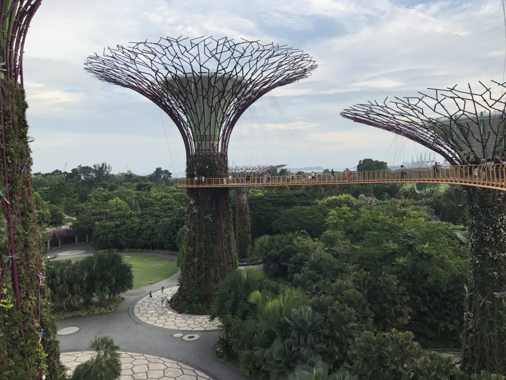 ガーデンズバイザベイのスカイウェイ