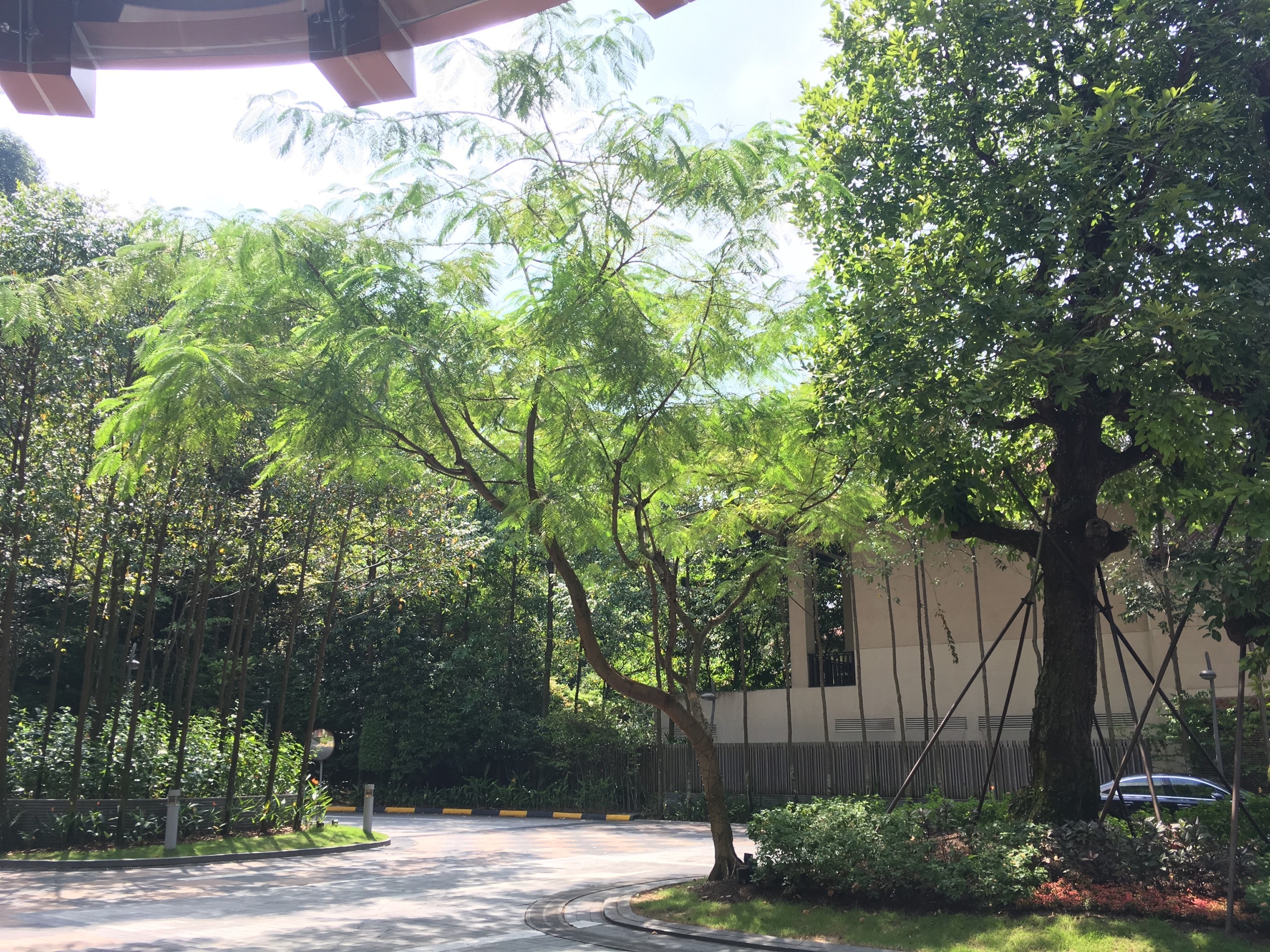 エクアリウスホテル