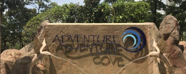 アドベンチャー・コーブ・ウォーターパーク