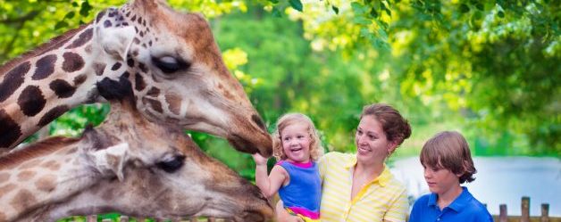 シンガポール動物園