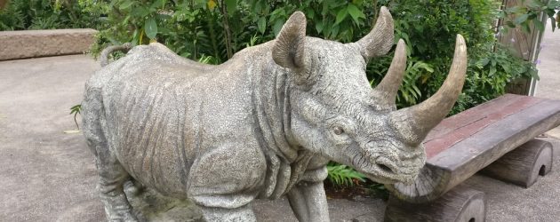 ナイトサファリ　シンガポール